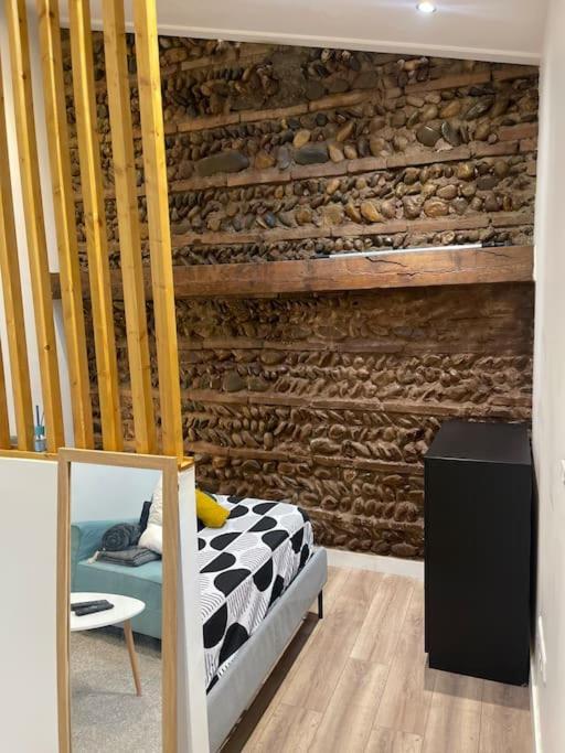 Joli Studio Maisonnette Avec Cachet Toulouse Kültér fotó
