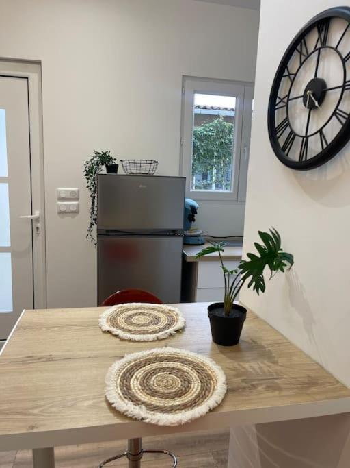Joli Studio Maisonnette Avec Cachet Toulouse Kültér fotó